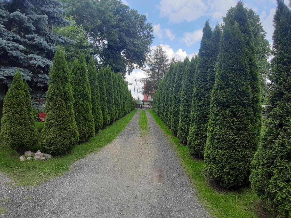 Chata W Banskiej Banska Nizna Esterno foto